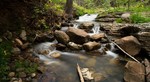 photo thumbnail #2