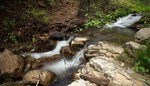 photo thumbnail #5