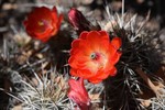 photo thumbnail #11