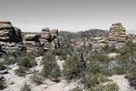 photo thumbnail #13