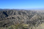 photo thumbnail #2