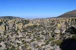 photo thumbnail #8