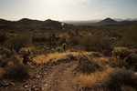 photo thumbnail #3