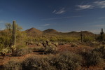 photo thumbnail #5