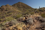 photo thumbnail #6