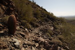 photo thumbnail #9