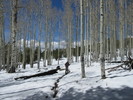 photo thumbnail #4