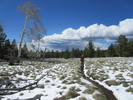 photo thumbnail #5