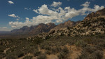 photo thumbnail #6