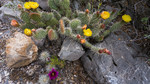 photo thumbnail #9