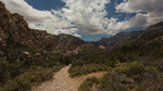 photo thumbnail #12