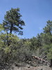 photo thumbnail #12