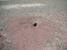 photo thumbnail #13