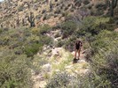 photo thumbnail #1