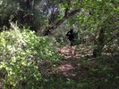 photo thumbnail #2