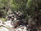 photo thumbnail #11