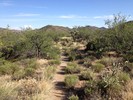 photo thumbnail #15