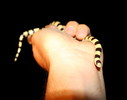 photo thumbnail #14