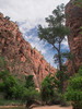photo thumbnail #4