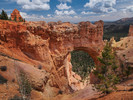 photo thumbnail #15