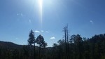 photo thumbnail #11