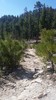 photo thumbnail #12