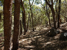 photo thumbnail #1