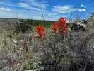 photo thumbnail #12