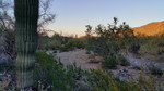 photo thumbnail #5
