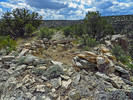 photo thumbnail #13