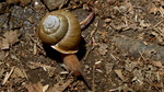 photo thumbnail #15
