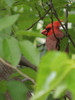 photo thumbnail #12