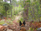 photo thumbnail #5