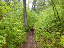 photo thumbnail #6