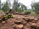 photo thumbnail #7