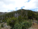 photo thumbnail #8