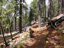 photo thumbnail #12