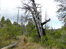 photo thumbnail #1
