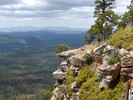 photo thumbnail #6