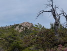 photo thumbnail #5