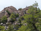photo thumbnail #6