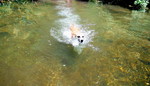photo thumbnail #5