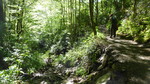 photo thumbnail #5