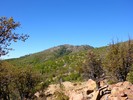 2015-05-29 :1: Dandrea Trail #285 :: kingsnake