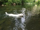 photo thumbnail #3