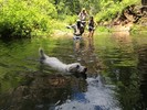 photo thumbnail #11