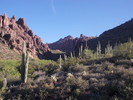 photo thumbnail #2