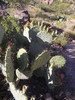 photo thumbnail #14