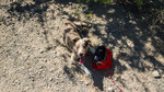 photo thumbnail #1