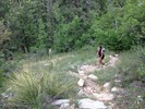 photo thumbnail #10